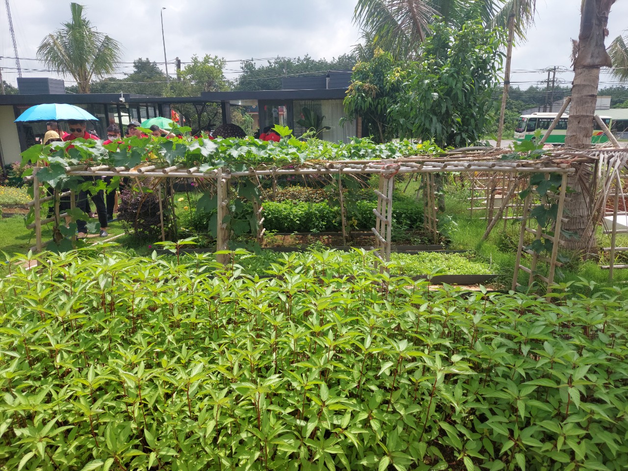 Nhà vườn Trảng Bom Đồng Nai