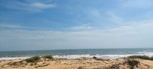 Tổng hợp đất nền Hồ Tràm