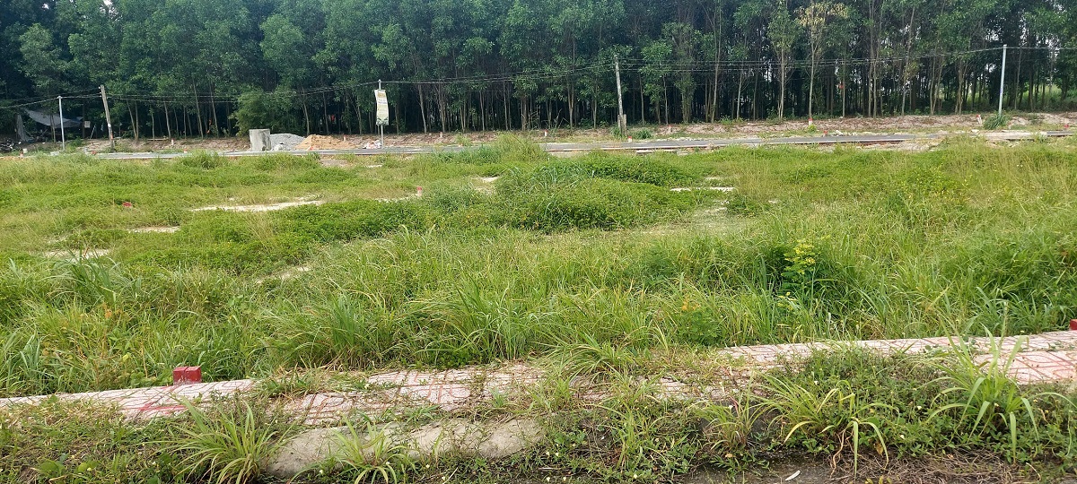 Đất nền giá rẻ An Phước 