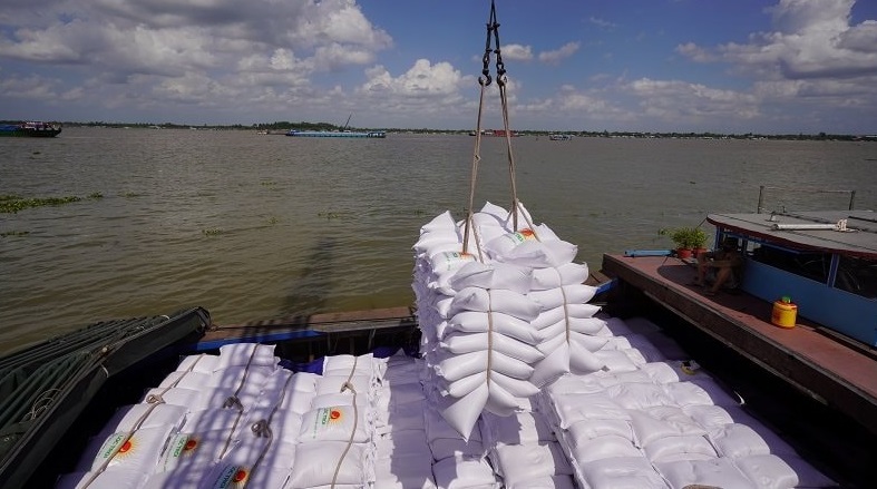 Gạo nhập khẩu Ấn Độ