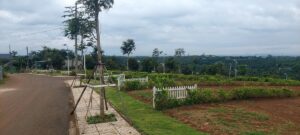 Đất Di Linh chính chủ