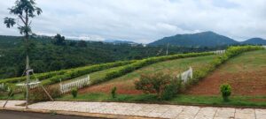 Đất Di Linh đang tăng hay giảm