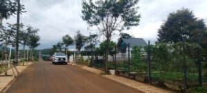 Mua đất Di Linh có lời không