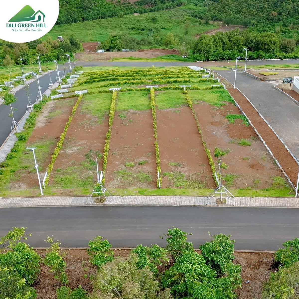 Dili Green Hill Di Linh