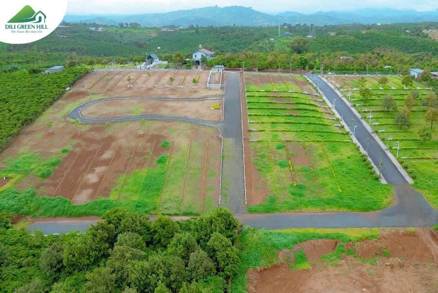 Dili Green Hill Di Linh