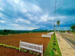 Đất sào Di Linh,Đất nền nghỉ dưỡng Di Linh,Bán sỉ 14 lô đẹp nhất tại Dili Di Linh Lâm Đồng