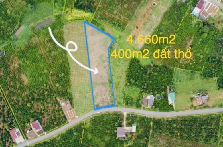 Bán 4660m2 đất tại thôn 11 Di Linh Lâm Đồng, thổ cư: 400 m²