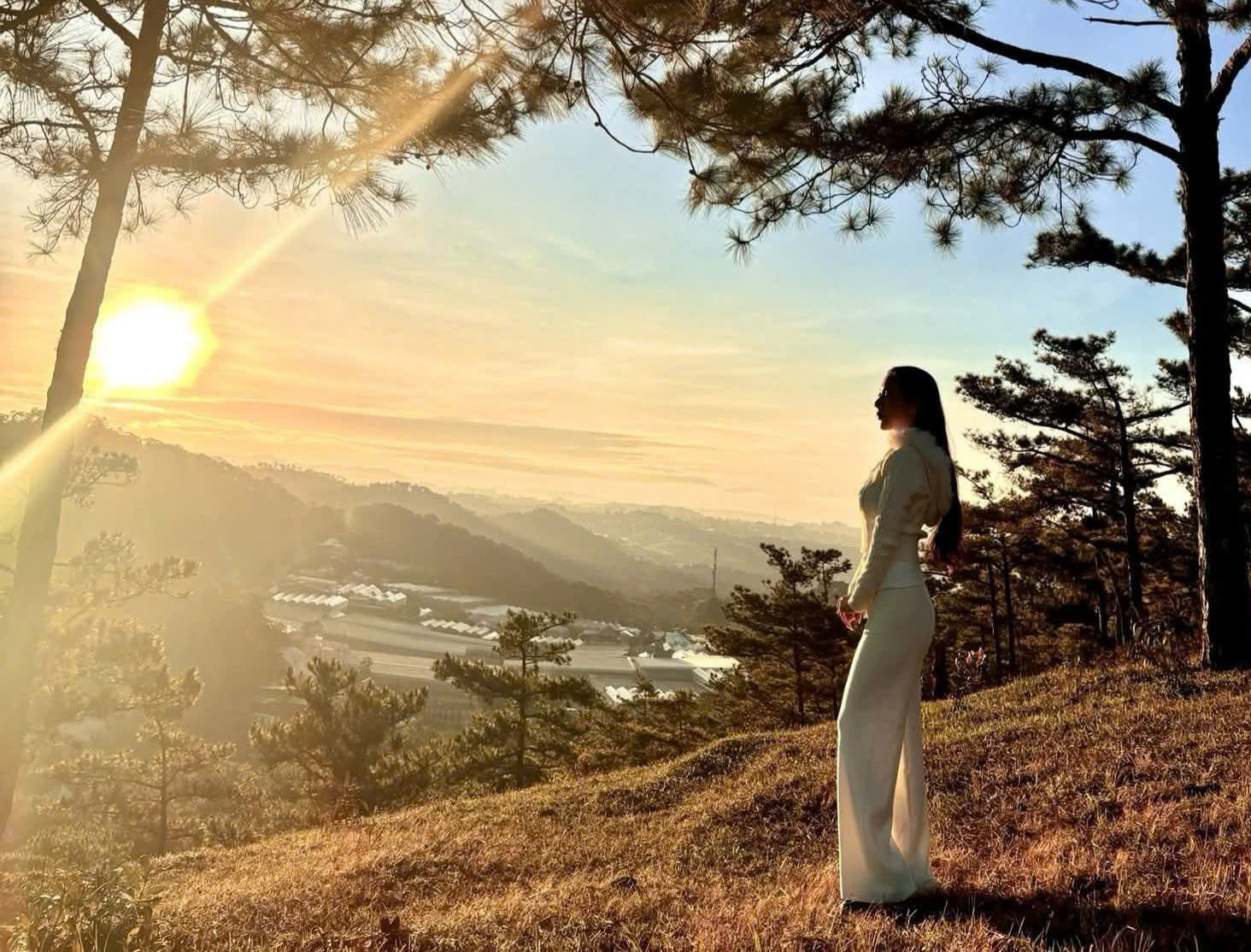 Ở Di Linh, người ta không đo đất bằng mét vuông… Người ta đo bằng độ sâu của bình yên,