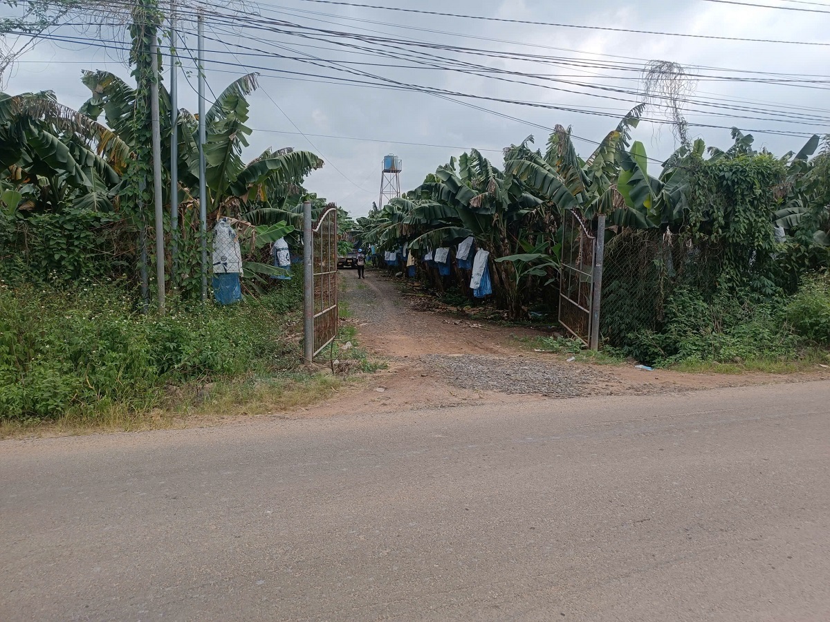 Bán 2,1ha Bảo Vinh Thọ An Long Khánh