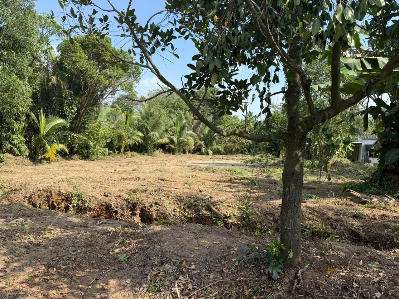 Bán 1910m view sông Đồng Nai đường 5 Long Phước