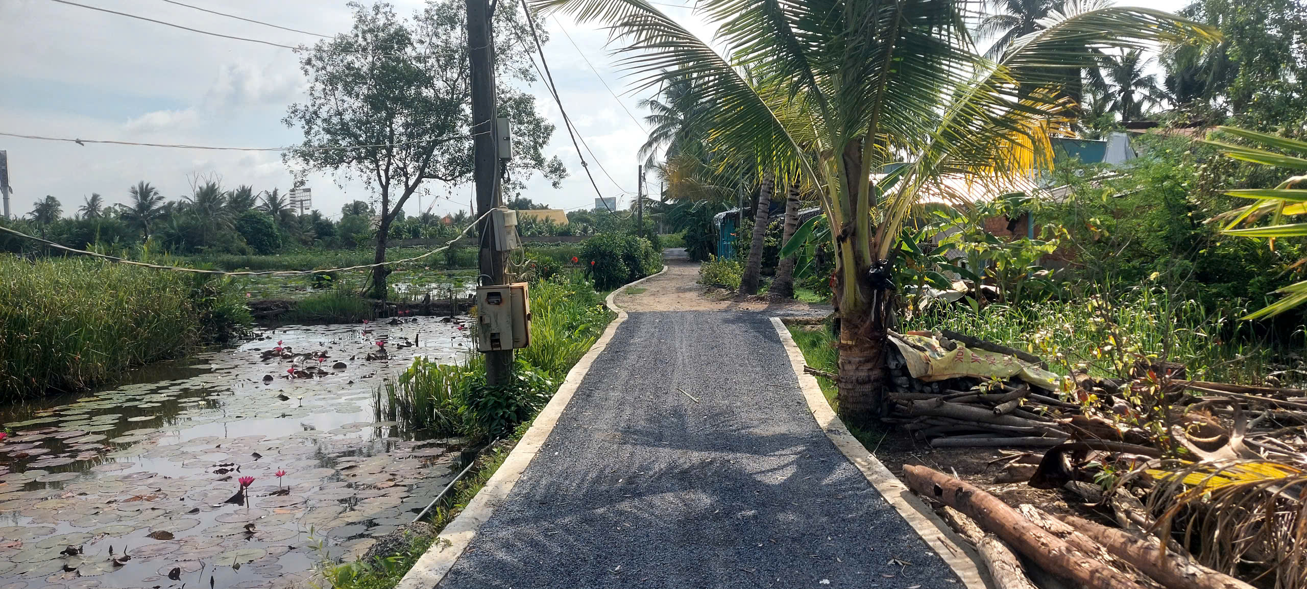 Bán 3000m2 đất vườn Long Phước Quận 9