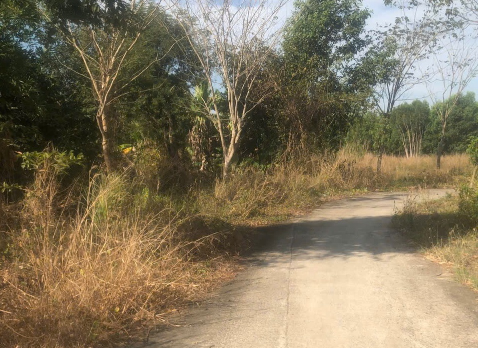 Bán 1.619m2 suối tre Hồ Tràm, Tp.HCM