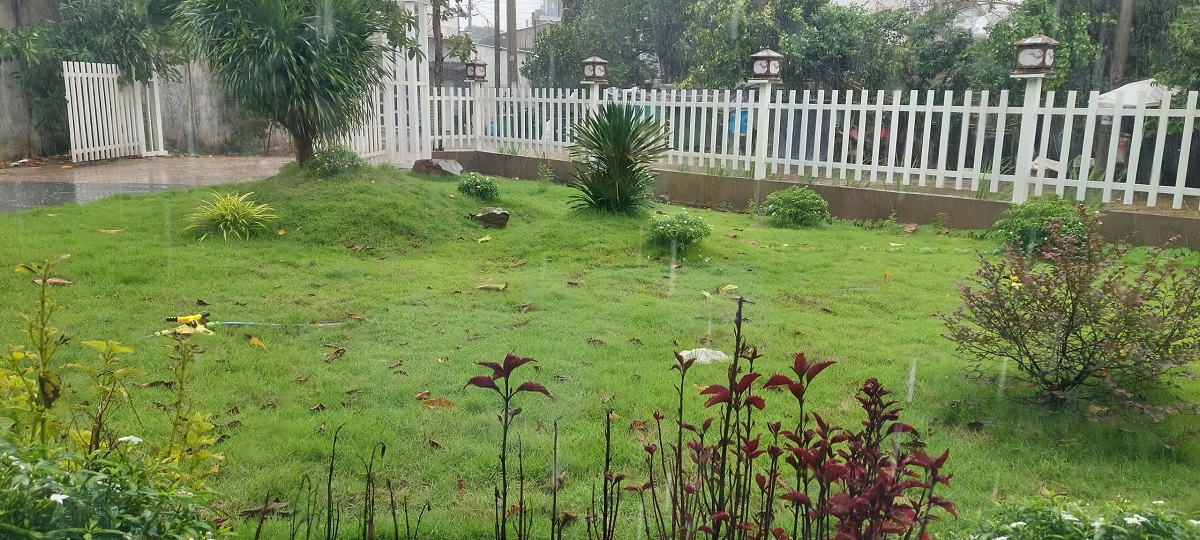 Nên mua đất hay chung cư tại Biên Hòa